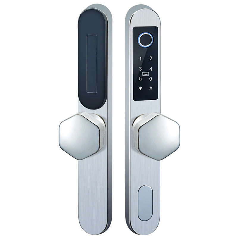 VIANS IP 65 Waterproof Security TT  APP Gateway Control Electronic Smart Card Hotel Apartment Outside Sliding Door Lock