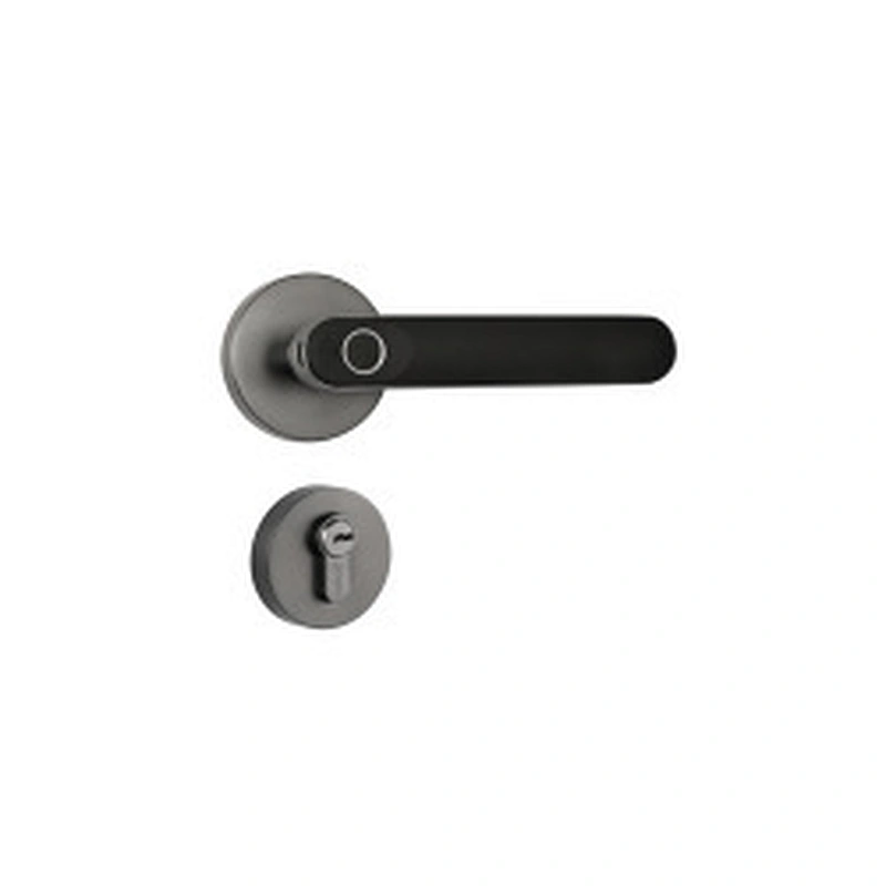 vians Tuya APP Fingerprint unlock Intelligent Electronic Lock handle Tuya Smart door lock