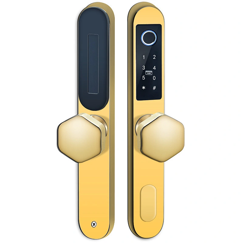 VIANS IP 65 Waterproof Security TT  APP Gateway Control Electronic Smart Card Hotel Apartment Outside Sliding Door Lock