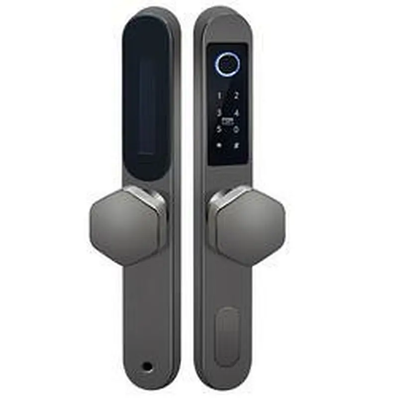 VIANS IP 65 Waterproof Security TT  APP Gateway Control Electronic Smart Card Hotel Apartment Outside Sliding Door Lock
