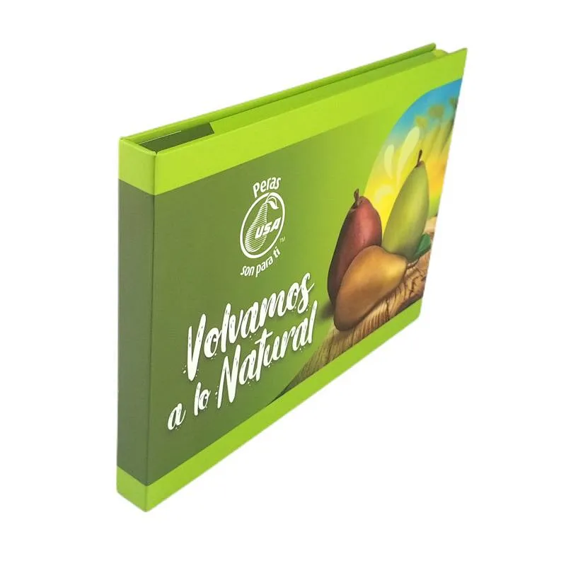 Touch screen A5 video brochure
