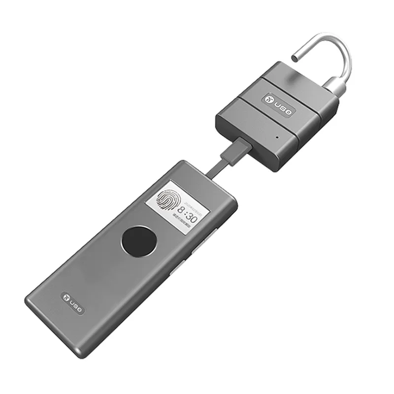 Smart Security Passive Electronic Lock LP-101