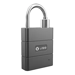 Smart Passive Electronic Lock LP-101