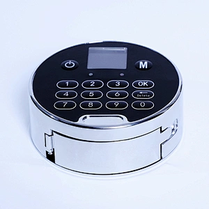 Intelligent Dynamic Password Lock (Online+Fingerprint) DT-401