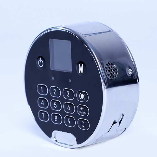 Intelligent Dynamic Password Lock DT-401 Intelligent Dynamic Password Lock DT-401