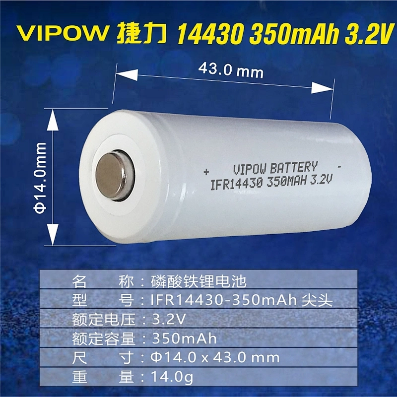 LiFePO4 Battery