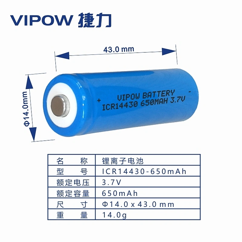 Lithium ion Battery