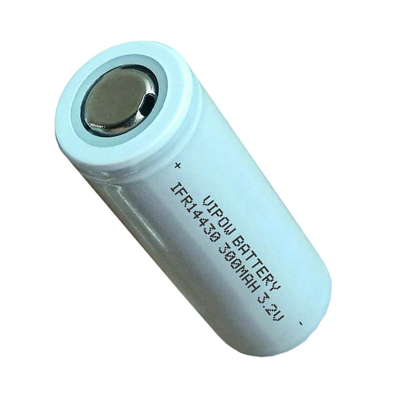 LiFePO4 Battery