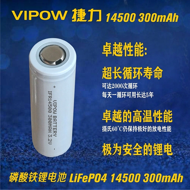 LiFePO4 Battery