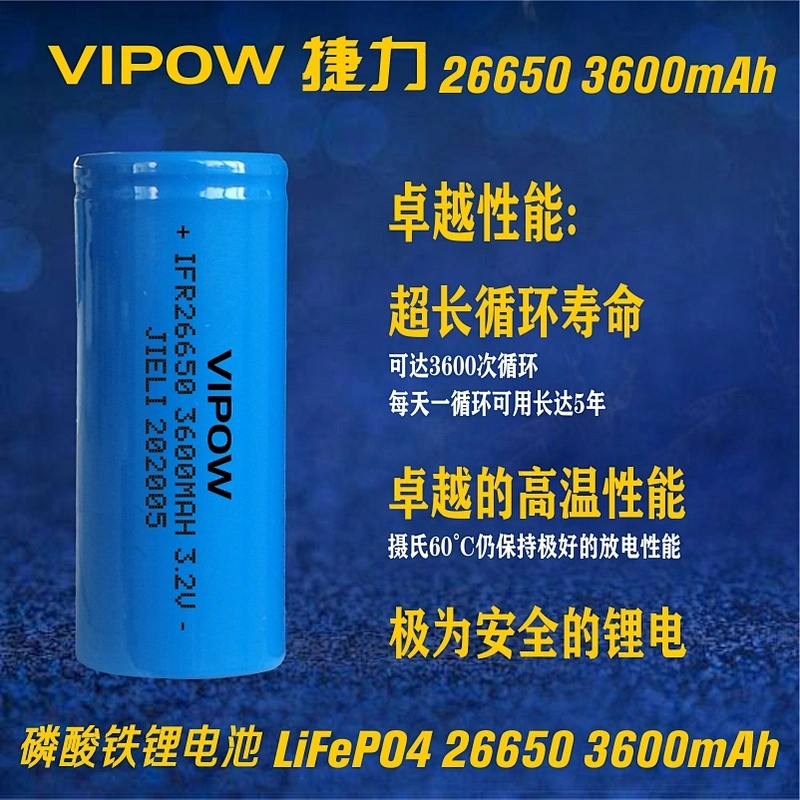 LiFePO4 Battery