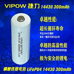 LiFePO4 Battery