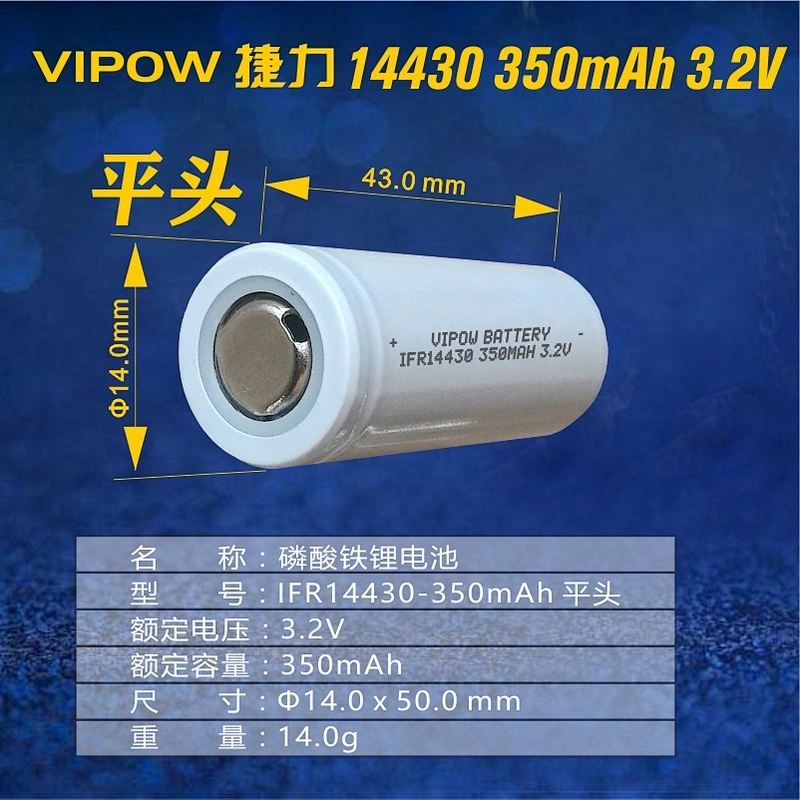 LiFePO4 Battery