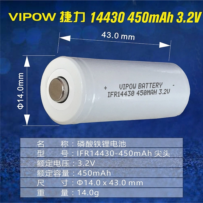 LiFePO4 Battery