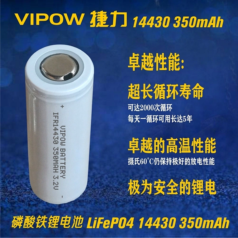 LiFePO4 Battery