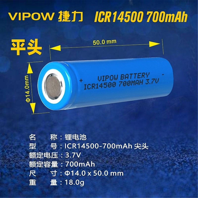 Lithium ion Battery