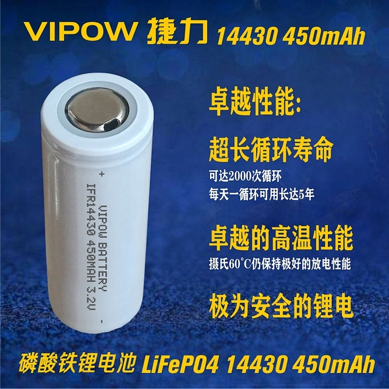 LiFePO4 Battery