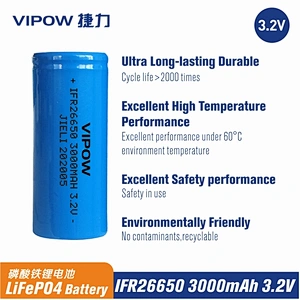 LiFePO4 Battery