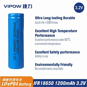 LiFePO4 Battery