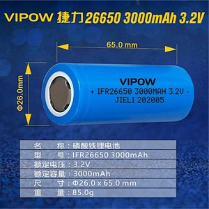 LiFePO4 Battery