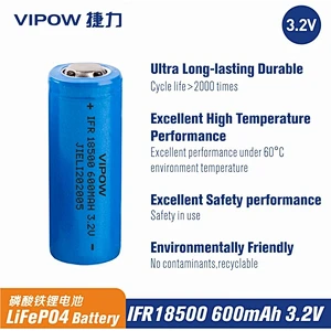 LiFePO4 Battery