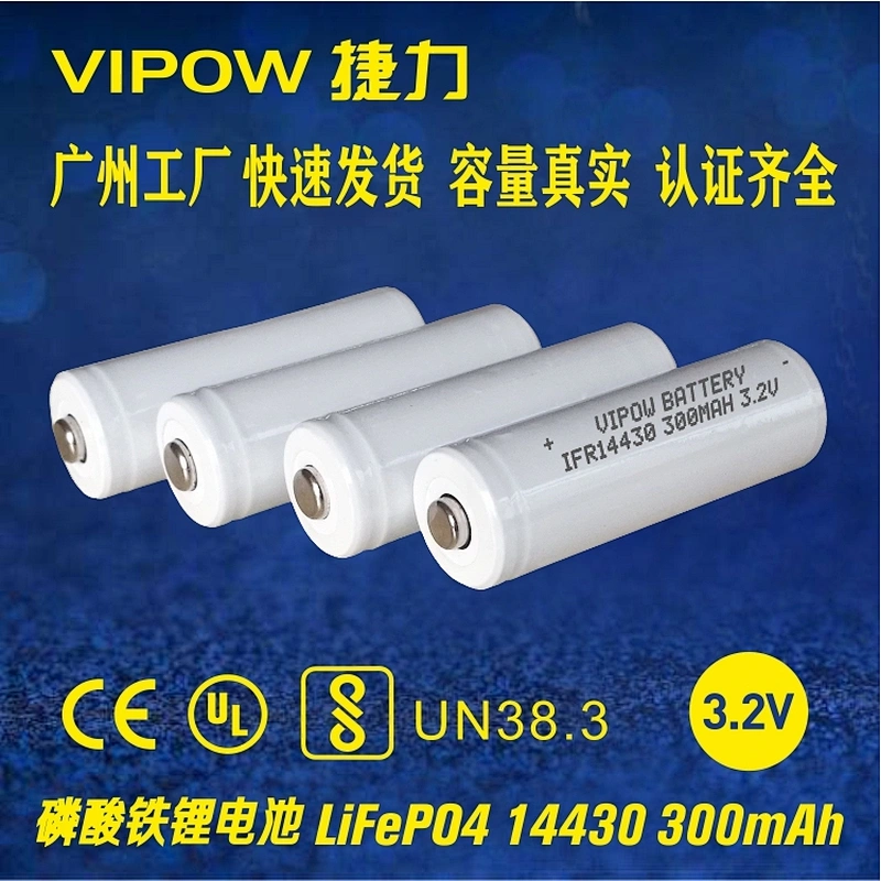 LiFePO4 Battery