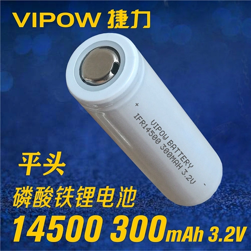 LiFePO4 Battery