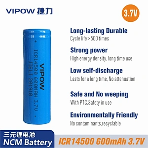 Lithium ion Battery(NCM)