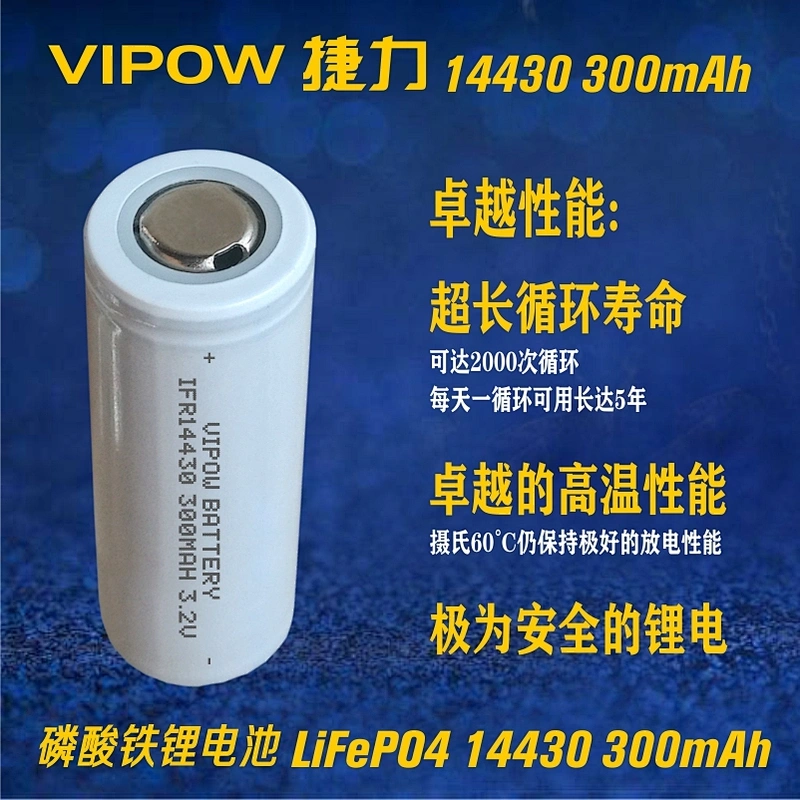 LiFePO4 Battery