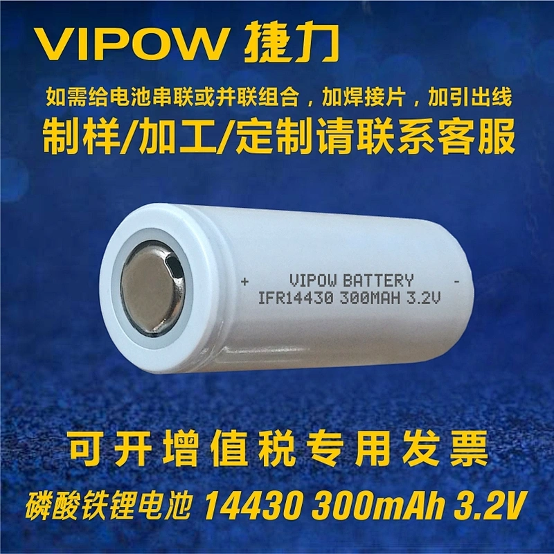 LiFePO4 Battery