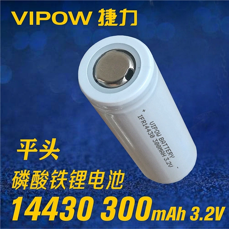 LiFePO4 Battery