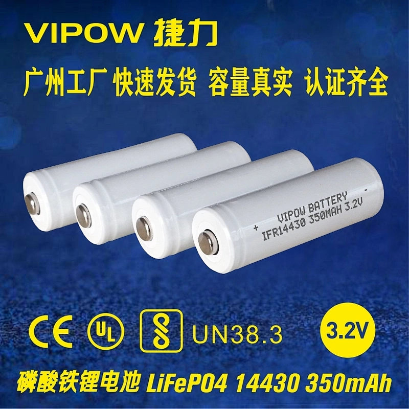 LiFePO4 Battery