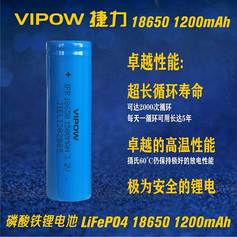 LiFePO4 Battery