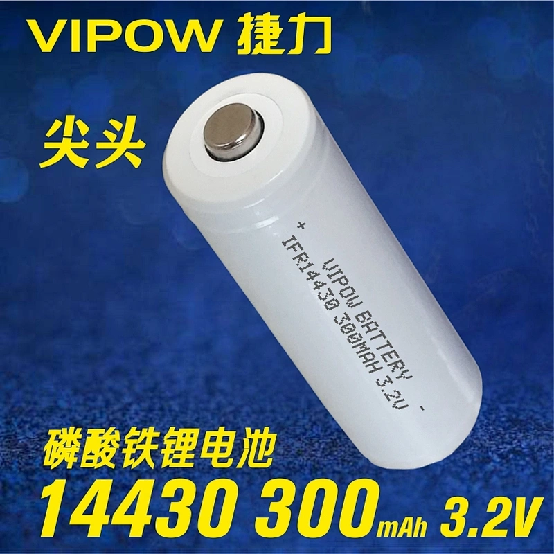 LiFePO4 Battery
