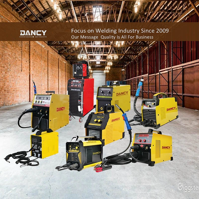 MAG MIG 200A inverter IGBT portable gas and gasless mig welding machine with 5 kgs wire capacity