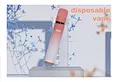 ZRO Ela ED2000  Disposable Pod Device