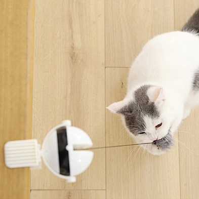 Interactive Cat Toy Ball 2021 New Electric Cat Ball