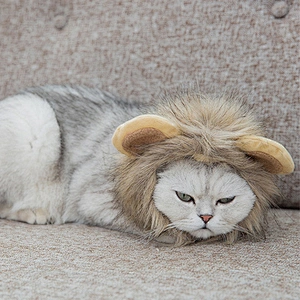 Pet Cat Funny Hat Cute Pet Cat Cosplay Costume Headwear Lion Mane Costume Hat For Cat