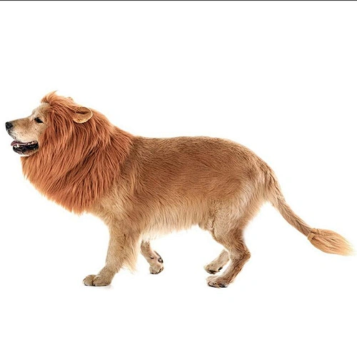 Wholesale Realistic And Funny Dog Lion Mane Dog Halloween Costumes