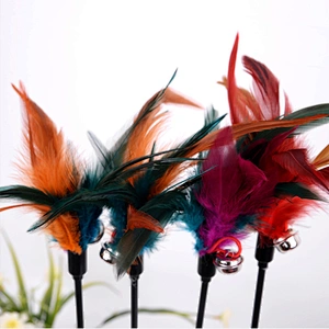 Spot wholesale cat toys interactive feather bells pet toys set