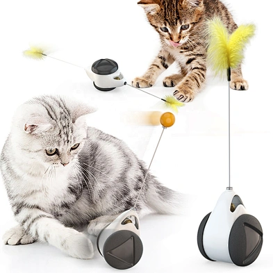 2021 new design interactive training Funny cat cats toys
