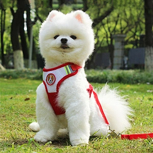 Amazon hot selling pet safety dog harness with leashes reflective dog harness