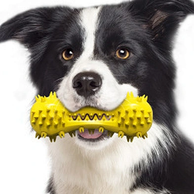 Hot sale sounding dog toy pet teething stick bite resistant dog chew toy