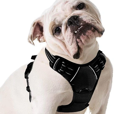 Amazon Hot Sale Dog Vest Custom Logo Reflective Breathable Dog Harness