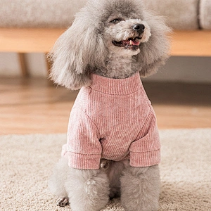 Wholesale 2020 Spring Hot Pet Clothes Designer Dog Fashion Popular Sweater T-Shirt Pet Dog Sweater