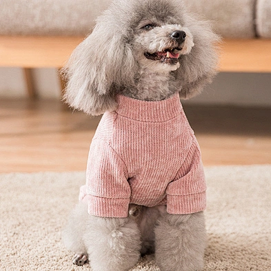 Wholesale 2020 Spring Hot Pet Clothes Designer Dog Fashion Popular Sweater T-Shirt Pet Dog Sweater