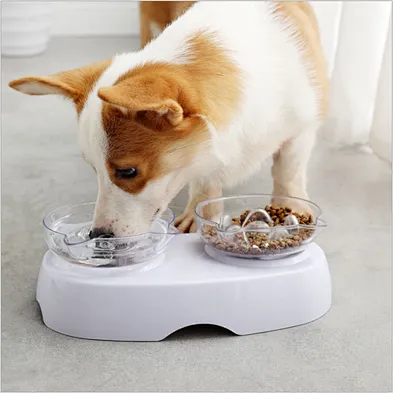 2021 Hot design eco-friendly material bowl cat water food cat pet bowls feeders