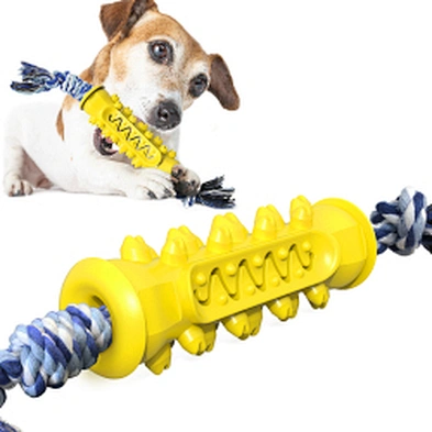 Eco-friendly pet chew rope toy dog toothbrush puppy chew toy set