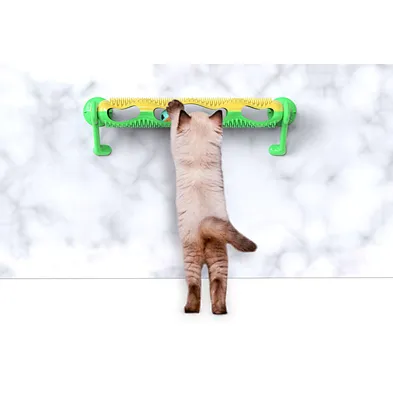 Hot sale Cat Educational Toys Track Ball Cat Toys Turntable