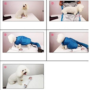 Wholesale New Portable Pet Drying Bag Dog Blow Grooming Pet Drying bag For Dogs and Cats