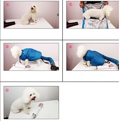 Wholesale New Portable Pet Drying Bag Dog Blow Grooming Pet Drying bag For Dogs and Cats